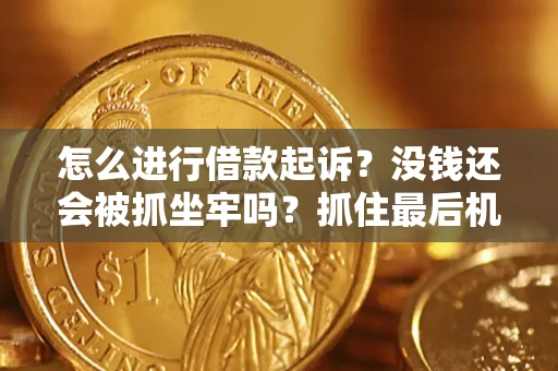 济南怎么进行借款起诉？没钱还会被抓坐牢吗？抓住最后机会！