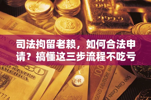 济南司法拘留老赖，如何合法申请？搞懂这三步流程不吃亏！