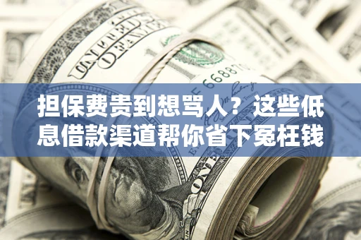 济南担保费贵到想骂人？这些低息借款渠道帮你省下冤枉钱