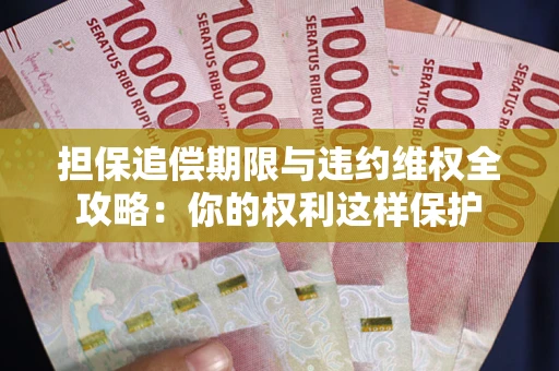 济南担保追偿期限与违约维权全攻略：你的权利这样保护