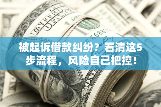 济南被起诉借款纠纷？看清这5步流程，风险自己把控！